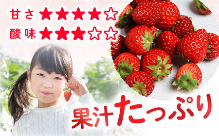 おおきみ いちご 2kg＜武藤農園＞CFV005 いちご いちご いちご いちご いちご 