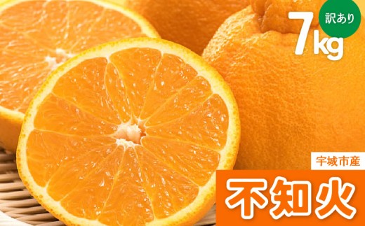 先行予約 訳あり 不知火 7kg【2027年1月中旬から2027年4月下旬発送予定】 しらぬい 果物 フルーツ 規格外 不揃い