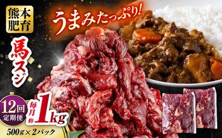 【全12回定期便】 馬スジ 計12kg 1回あたり1kg（500g×2パック） / 肉 お肉 馬肉 スジ 筋 煮込み 冷凍【五右衛門フーズ熊本店】[AYBV015]
