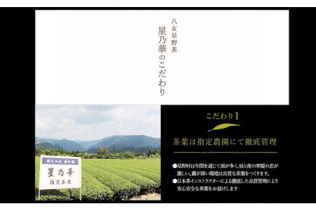 八女星野 深蒸し茶100g 3本詰め 合計300g セット 緑茶 茶葉