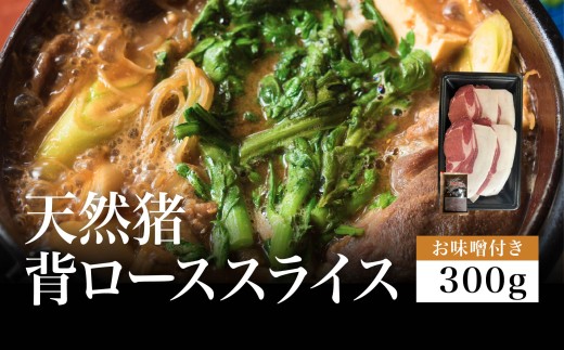 【2026年11月より順次発送】天然猪　背ローススライス　300gパック　お味噌付き（1ヶ）　