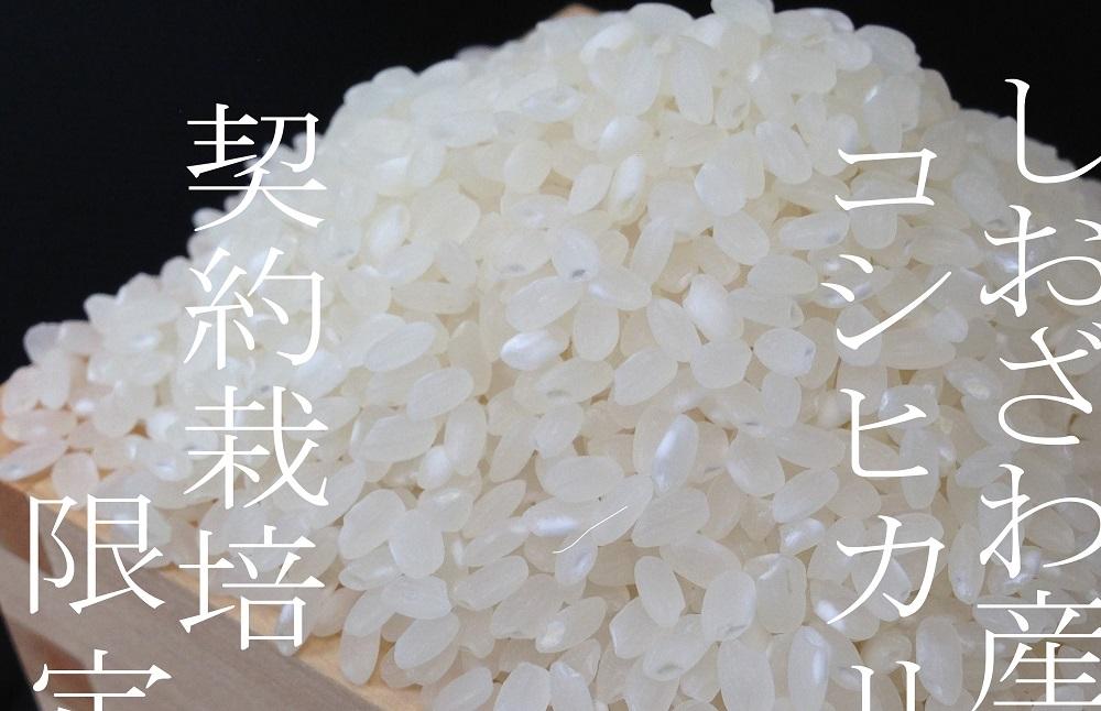 【令和7年産】【定期便】契約栽培限定 南魚沼しおざわ産コシヒカリ２Kg×6ヶ月