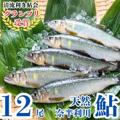 ふるさと納税 奈半利町 奈半利川の友釣り天然アユ(冷凍)12尾　107012
