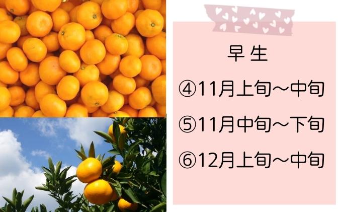 みかん 定期便 7回 温州みかんセット 香川県産 頒布会 極早生みかん 早生みかん 中生 各約2kg 食べきりサイズ 食べ比べ フジカワ果樹園 藤川果樹園 柑橘 果実 蜜柑 ミカン フルーツ 果物 くだもの 先行予約 ごくわせ 香川県 観音寺市