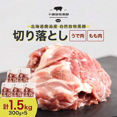 【毎月定期便】黒豚　切り落とし(うでもも)300g×5全2回【配送不可地域：離島】【4092439】