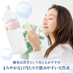 【シリカたっぷり】細野の天然水 1020ml×12本 1箱 （ミネラルウォーター 天然水 水 中硬水 シリカ シリカ水 ミネラル 美容 健康 人気 霧島 宮崎県 小林市） 