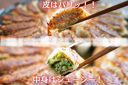 キャベツをたっぷり使った！アフロきゃべつ餃子 120個（30個入り × 4袋） キャベツ 餃子 ぎょうざ タレいらず 味付き 春キャベツ 生産量 日本一 銚子