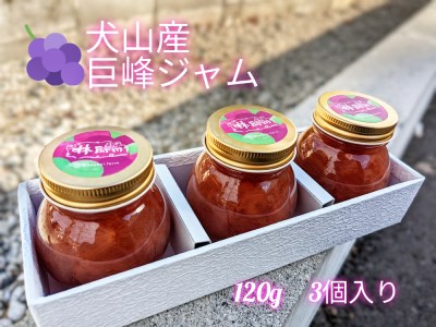 犬山産 巨峰ジャム (コンフィチュール)「熟れっ子」 [0339]