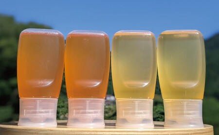 天然蜂蜜 国産蜂蜜 非加熱 生はちみつ 合計1200g 岐阜県 美濃市産 味比べ 蜂蜜300g入りピタッとボトル4本セットC6