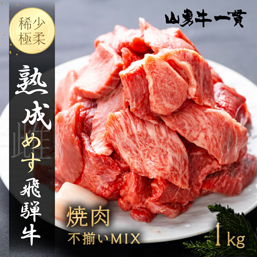 【ふるさと納税】飛騨の牧場で育った熟成飛騨牛『山勇牛』 焼肉 切り落とし 1kg 切落し 訳あり 訳アリ わけあり ワケアリ 不揃い ミックス 希少部位入り A4・A5ランク飛騨牛 牛肉 肉 和牛 国産 冷凍 飛騨市