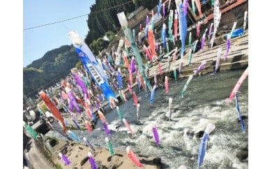 【令和7年度受付】名入れ鯉のぼり掲揚権（杖立温泉鯉のぼり祭）