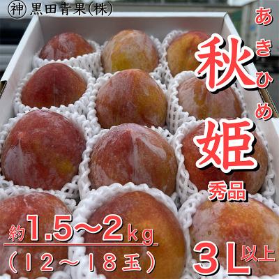 ふるさと納税 山形市 山形県産 秋姫(あきひめ) 秀品 3L以上 約1.5〜2kg【令和8年産先行予約】FU23-443