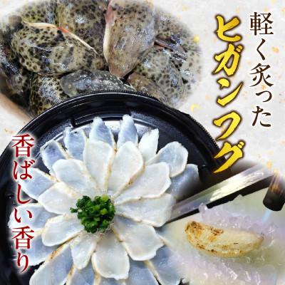 ふるさと納税 西尾市 三河産天然トラフグ刺身とヒガンフグたたきの食べ比べセット・U047 |  | 02