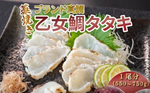 
                  【須崎のブランド鯛】 乙女鯛 わら焼き タタキ 1尾分 ( 550 ～ 750g ) 産地直送 小島水産 ブランド  鯛 タイ 冷凍 さしみ 刺し身 刺身 おすすめ 人気 藁焼き わらやき 土佐 本場 とさ　高知県 須崎市 KS038
                