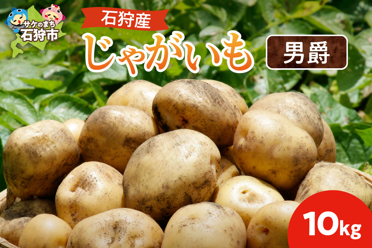 石狩産 じゃがいも（男爵） 10kg【9月発送】｜ 北海道産 野菜 じゃがいも 北海道 石狩市
