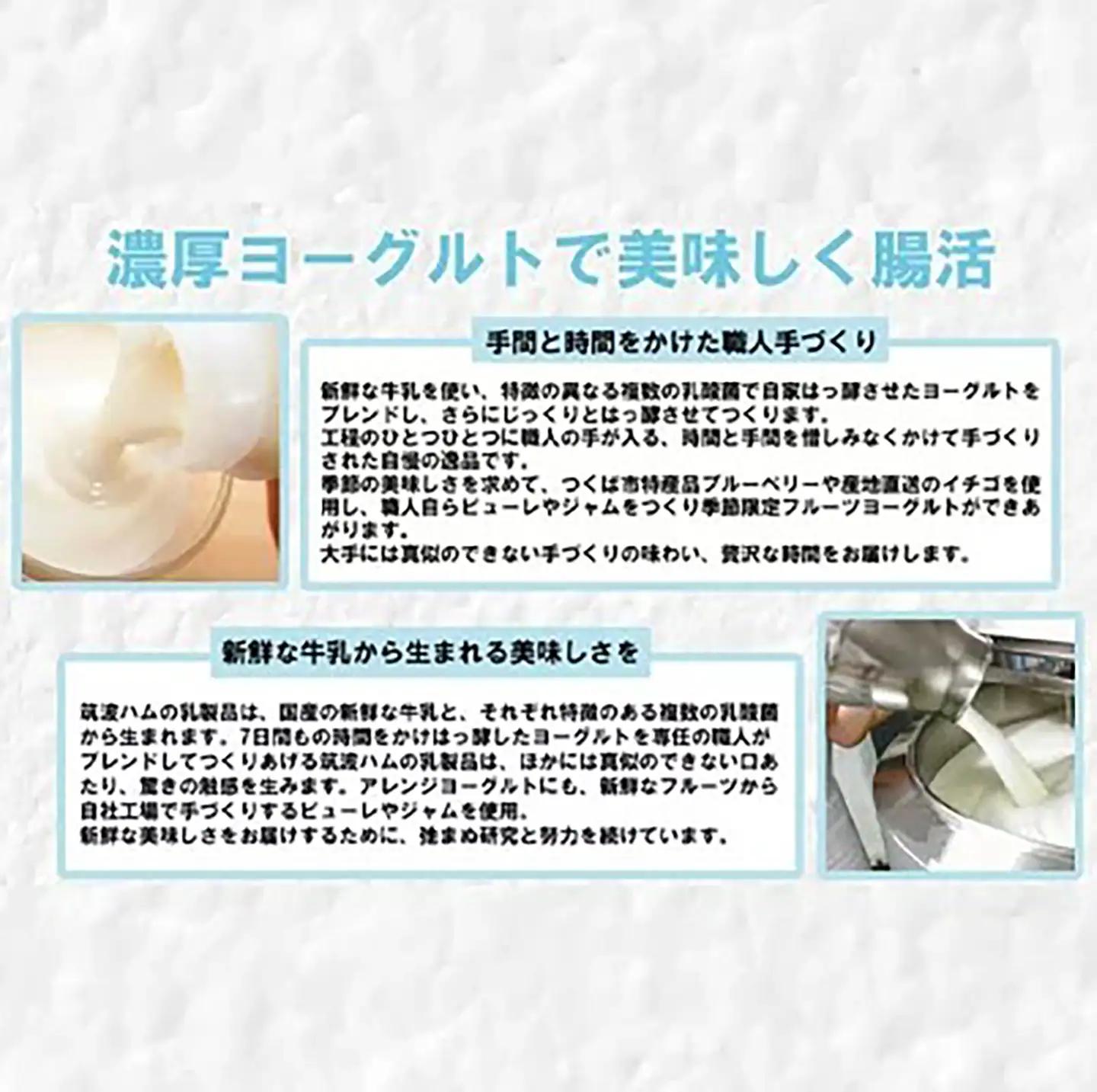 ヨーグルト 筑波ハム 一週間腸活ヨーグルトギフト