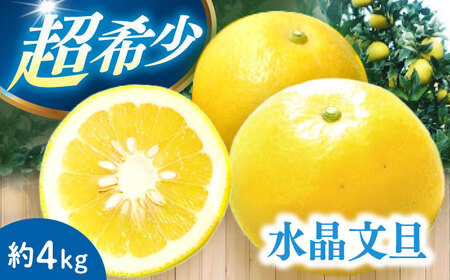 【ご家庭用】水晶文旦4kg 長与町/果豊園[ECL007]文旦 水晶文旦 人気文旦 人気水晶文旦 長崎文旦 長崎水晶文旦