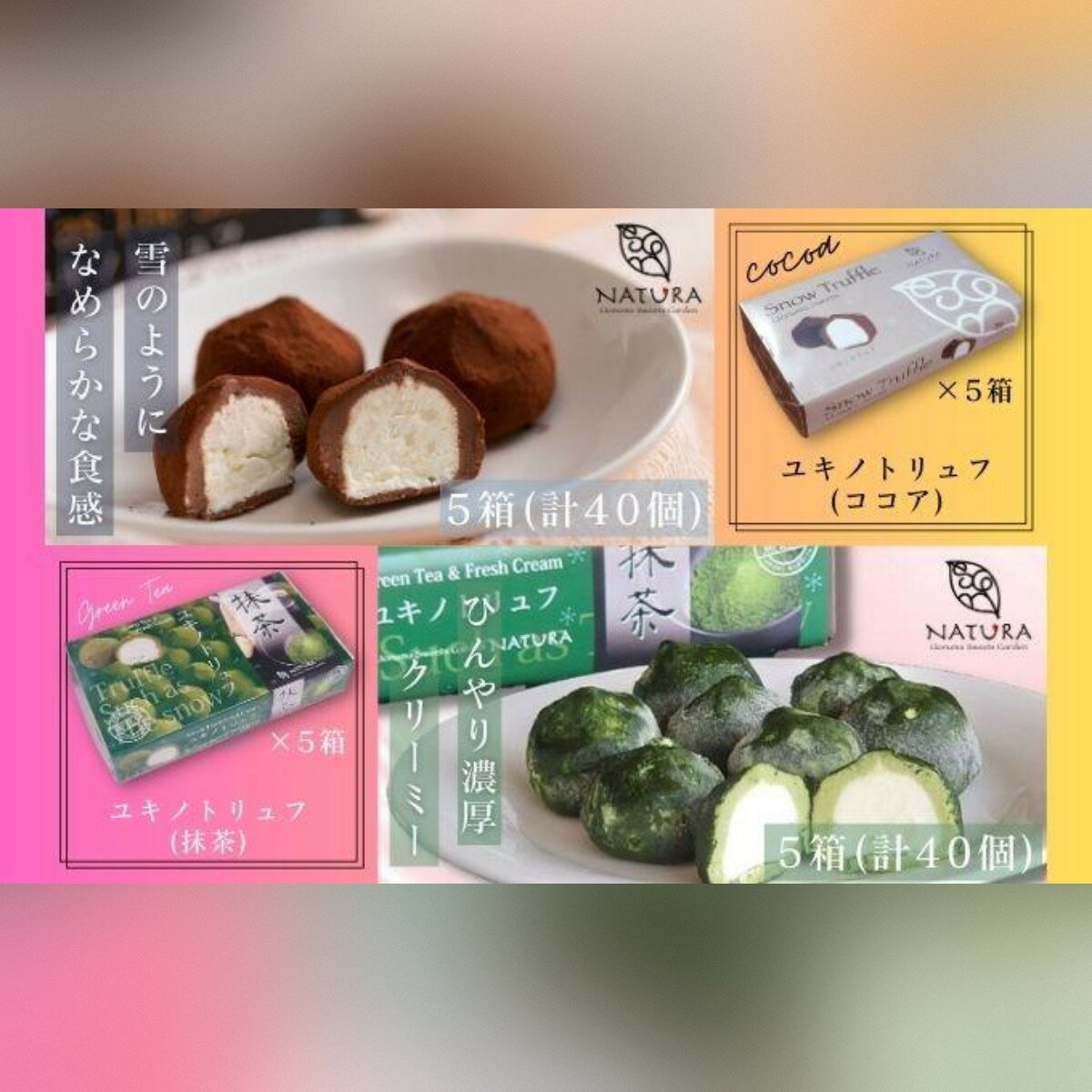【ふるさと納税】チョコレート ショコラトリュフ ココア 抹茶 スイーツ 生洋菓子 新潟県 南魚沼市 ナトゥーラ 濃厚ひんやり ユキノトリュフ 計10箱