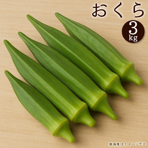 【ふるさと納税】オクラ　約3kg　バラ