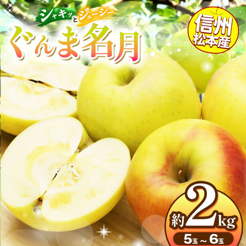 【ふるさと納税】【先行受付：2026年発送】信州松本産　ぐんま名月　5～6玉約2kg 通常品 │ 林檎 りんご リンゴ ぐんま名月 果汁 果物 貴重 くだもの フルーツ 自然 旬 ご褒美 長野県 信州 松本 ふるさと納税