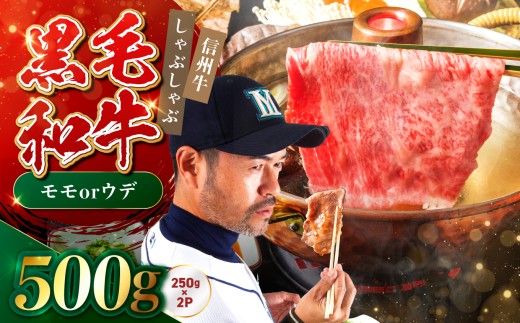 たかどや牧場産 黒毛和牛 信州牛 しゃぶしゃぶ ( モモ または ウデ ) 500g ( 250g × 2パック ) | 肉 牛肉 黒毛和牛 和牛 信州牛 モモ ウデ しゃぶしゃぶ 長野県 飯田市 信州