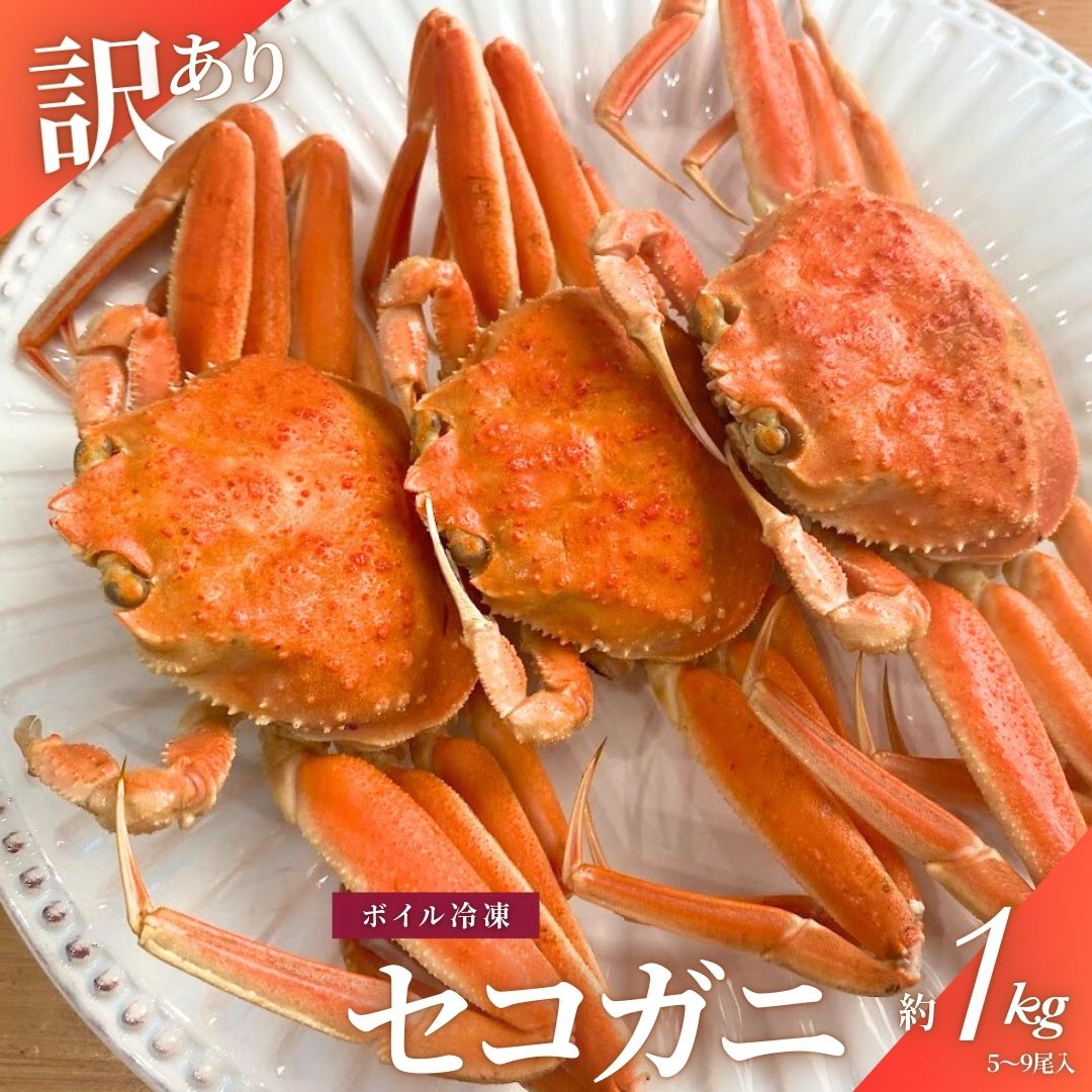 【ふるさと納税】【11月～2月発送】＜訳あり＞新潟県村上市寝屋漁港産　セコガニ 約1kg（5～9尾入） かに カニ 蟹 海鮮 魚介類 甲殻類 産地直送 お取り寄せ 冷凍 クール 新潟県 村上市 送料無料 C4088