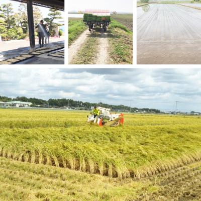 ふるさと納税 水戸市 令和7年産 茨城県水戸市常澄産コシヒカリ 精米 みと米 2kg |  | 03