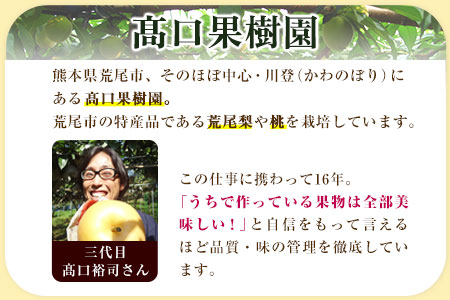 六月のはなよめ 約1.8～2kg 熊本県荒尾市産 桃 高口果樹園 【日付指定不可】《6月上旬-6月下旬頃出荷》六月の花嫁
