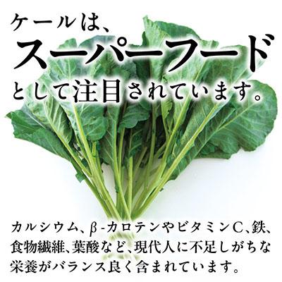ふるさと納税 磐田市 【訳あり】ソフトケール 3kg【TV紹介で大好評】おいしさで、ケールに革命を。 |  | 01