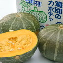 【ふるさと納税】遠別町産有機かぼちゃ（らいふく5kg）南瓜 カボチャ 野菜 やさい 緑黄色野菜 煮物 天ぷら サラダ 温野菜 北海道 遠別町