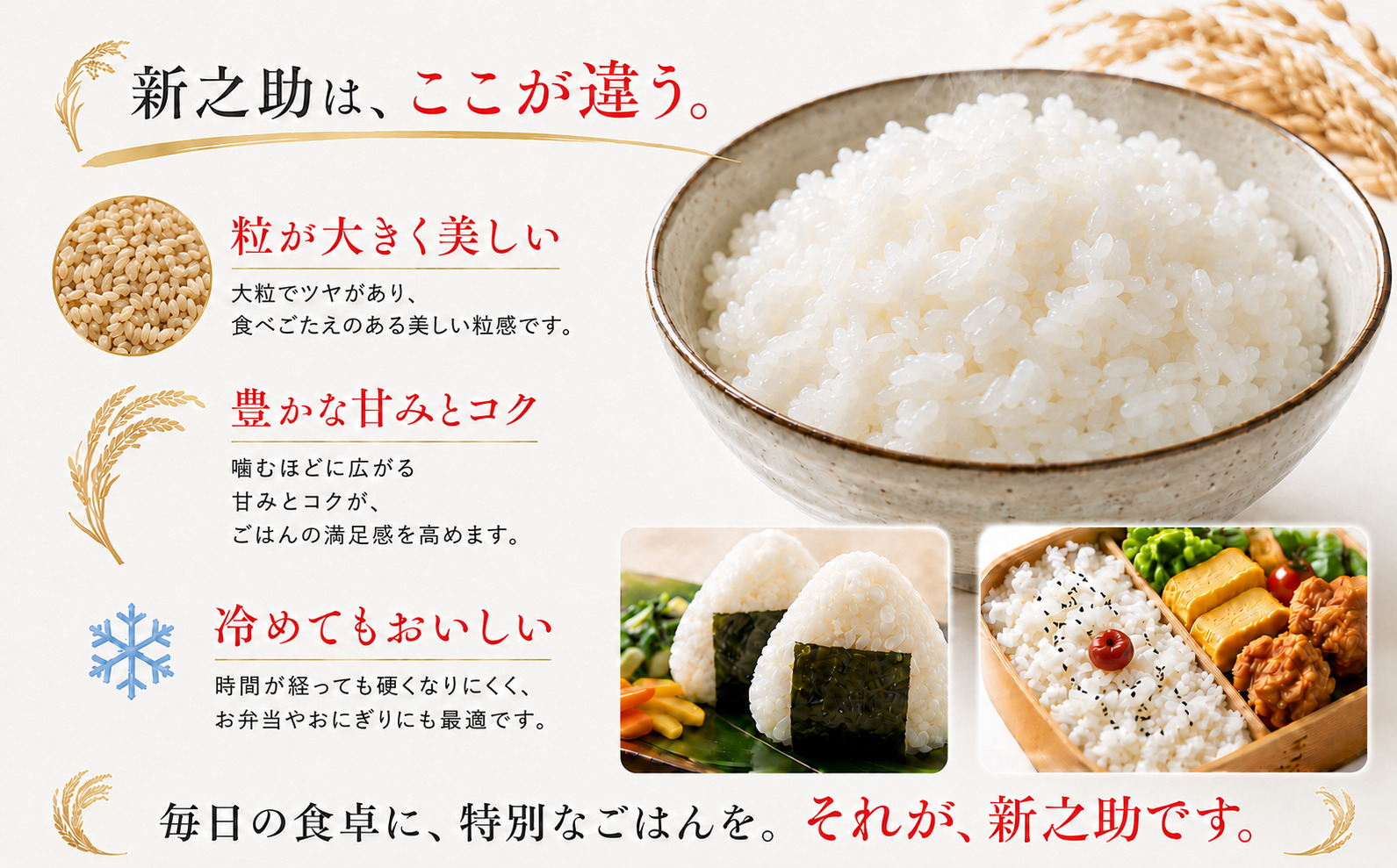 令和8年産 新潟県産 「鳥屋脇町生産組合 新之助」精米　5kg（岩渕農場）