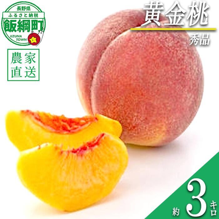 【ふるさと納税】 もも 完熟 黄金桃 秀品 3kg サイズおまかせ 井澤農園 配送先は本州限定 令和8年度収穫分 エコファーマー認定 長野県 飯綱町 〔 信州 果物 フルーツ 大玉 モモ 桃 長野 20000円 予約 農家直送 〕発送時期：2026年9月上旬〜2026年9月下旬