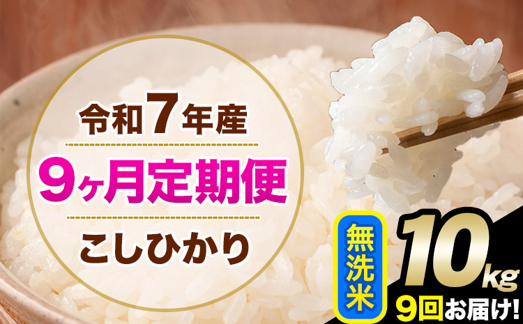令和7年産 【9ヶ月定期便】 こしひかり 10kg 無洗米 熊本県産(南阿蘇村産含む) 単一原料米 南阿蘇村 産 米 定期便《お申込月の翌月から出荷開始》---kh7tei_220500_10kg_mo9_mna_m---