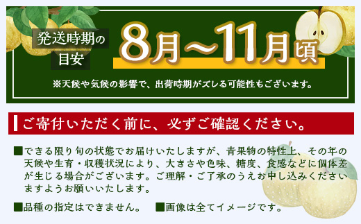 梨 約 5kg 2026年 予約 佐賀県産 | 果物 フルーツ