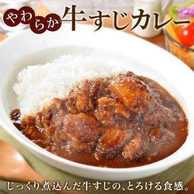 ふるさと納税 弟子屈町 バターチキンカレー(中辛) 2個、弟子屈牛すじカレー(中辛) 2個 1445 |  | 02