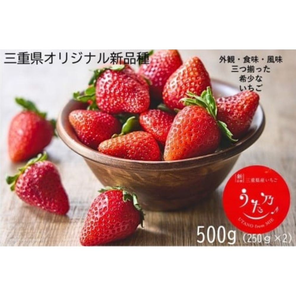 【ふるさと納税】三重県オリジナルいちご新品種 希少な「うた乃」 500g（250g×2） いちご 希少 甘い 三重県 多気町 yms-01