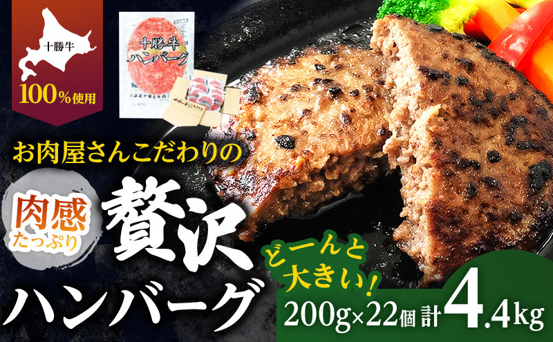 
            北海道十勝牛手ごねハンバーグ200g×22個 [№5749-1152]
          