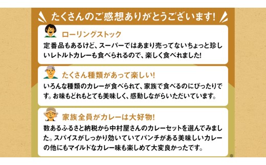 新宿 中村屋 レトルト 食べ比べ セット ( Bセット 17種 ) 人気 詰合せ 洋食 時短 カレー インドカレー ビーフカレー 欧風カレー 数量限定 贈答品 保存用 ストック用 非常用 老舗 レンチン レンジ