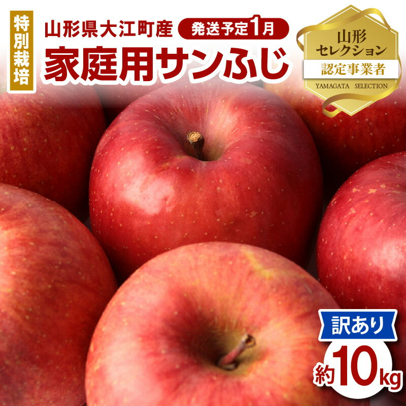【ふるさと納税】《先行受付》特別栽培 訳あり 家庭用サンふじ約10kg 【2026年1月〜発送予定】山形りんご 大江町産 鈴木果樹園 りんご リンゴ 林檎 果物 フルーツ 産地直送
