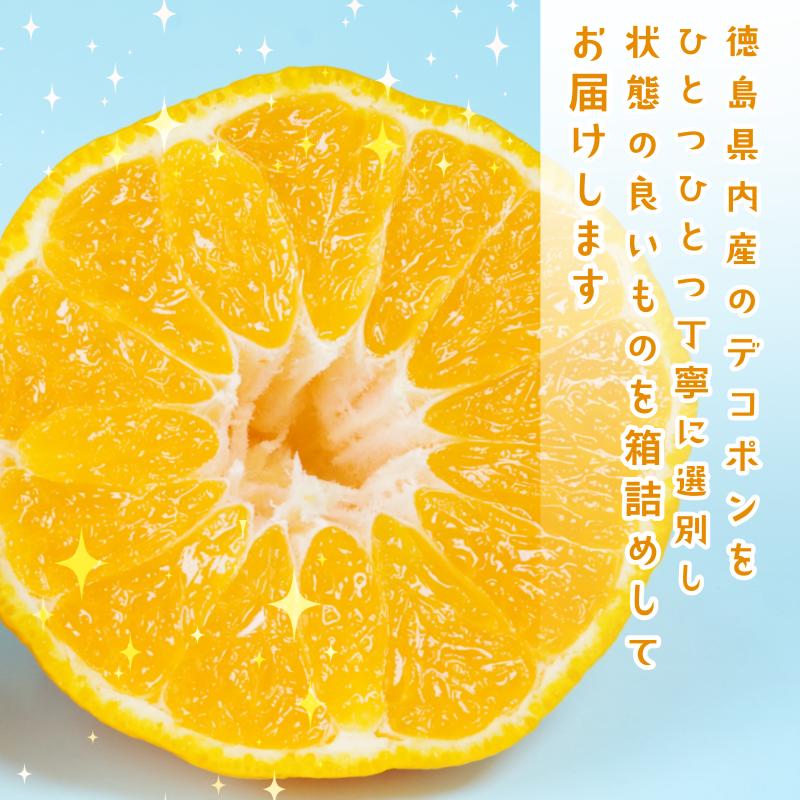 デコポン 訳あり 3㎏ 柑橘 フルーツ 旬 でこぽん 濃厚 甘い 厳選 国産 徳島県 【2月上旬より順次発送】