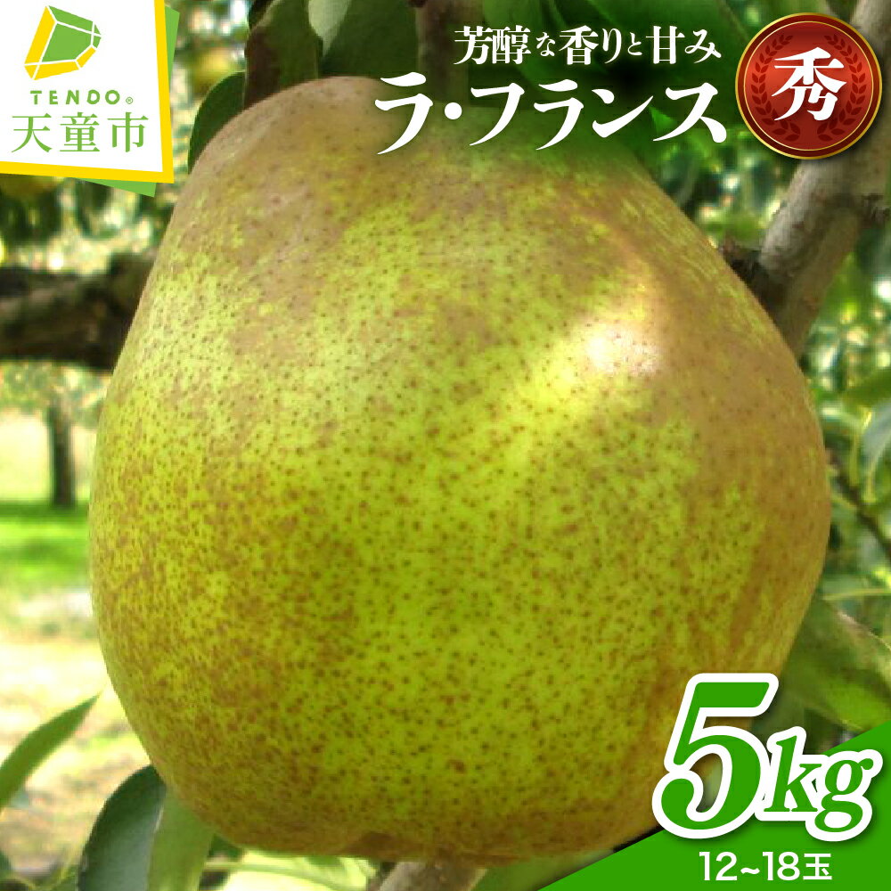 【ふるさと納税】ラフランス 5kg ラ・フランス 洋梨 果物 フルーツ ご家庭用 贈答 ギフト プレゼント おすそ分け お取り寄せ 旬 秋 冬 期間限定 山形 産地直送 送料無料 先行予約 【 山形県 天童市 】