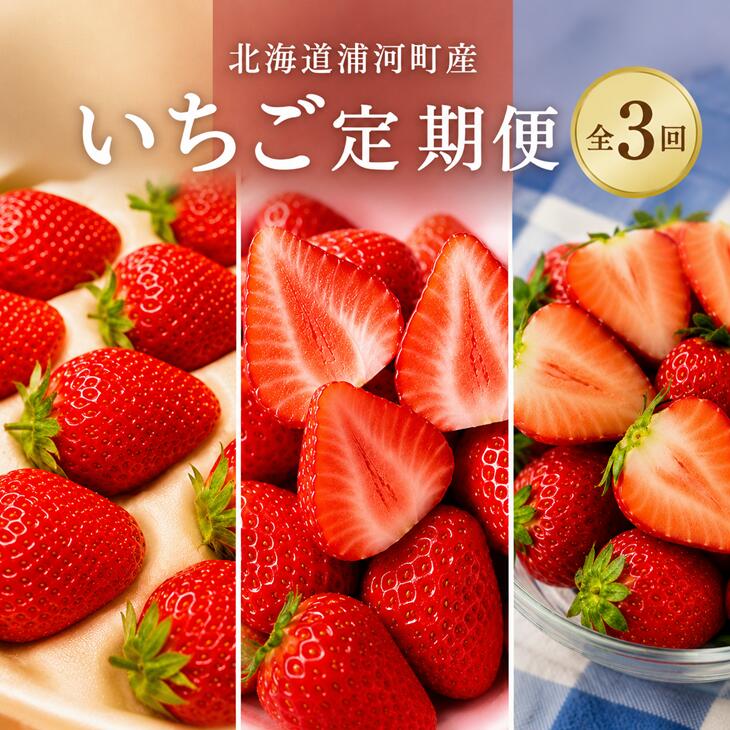 【ふるさと納税】【令和9年1月～4月発送！】北海道浦河町産いちご食べ比べ定期便(全3回)[13-1629] 北海道 浦河 ふるさと納税 いちご 旬 定期便 全3回 送料無料