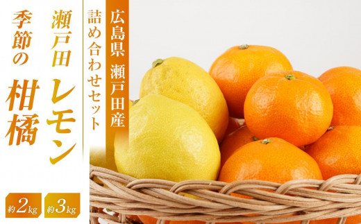 
            瀬戸田レモン3ｋｇと季節の柑橘2ｋｇ＜2025年11月下旬より発送開始＞【みかん レモン 檸檬  果物 フルーツ 詰め合わせ セット 人気 おすすめ 瀬戸内 広島県  尾道市】
          
