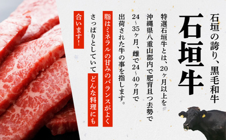 【2025年11月以降順次発送】希少な特選石垣牛をご家庭で！！全3回合計1.1kg　カルビ、赤身ステーキ各400gずつ、肩ロースしゃぶしゃぶ用300g &石垣牛 MARU秘伝の焼肉タレ100ml×1本