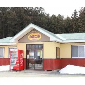 【卵 定期便12か月】純国産鶏「もみじ」平飼い卵30個x12回 AJ026 