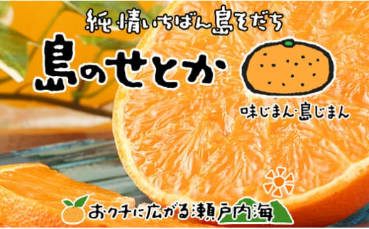 【3月上旬から発送予定】 希望の島 せとか 特選品 大玉 約1.5kg（6玉） 愛媛 中島産 みかん