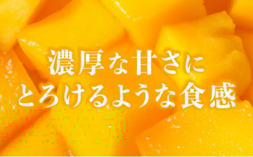 満足度NO.1！1玉1玉検品し、樹上完熟で糖度14度以上のみ発送します！ 西表島プレミアムマンゴー2kg
