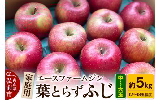 りんご【先行受付】【数量限定】家庭用 葉とらず ふじ 約5kg（中玉～大玉12～18玉程度）