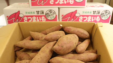 さつまいも 【 紅はるか 】 5kg ( 箱込 ) サツマイモ さつま芋 芋 いも べにはるか 野菜 焼き芋 スイーツ おやつ 国産