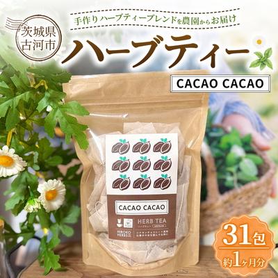 ふるさと納税 古河市 ハーブティー カカオカカオ 約1か月分(31teabags) _CR27